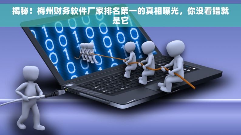 揭秘！梅州財務(wù)軟件廠家排名第一的真相，你沒看錯就是它